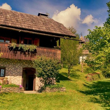 Domacija Koklej - Apartments Vintage Vacation Luče المظهر الخارجي الصورة