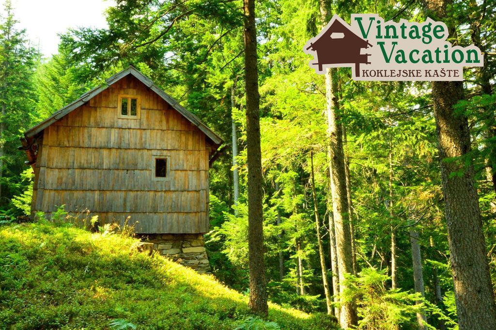 Domacija Koklej - Apartments Vintage Vacation Luče المظهر الخارجي الصورة