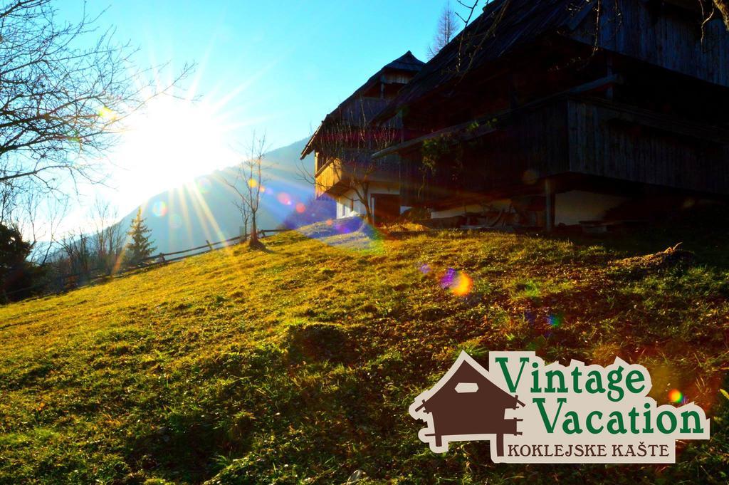 Domacija Koklej - Apartments Vintage Vacation Luče المظهر الخارجي الصورة
