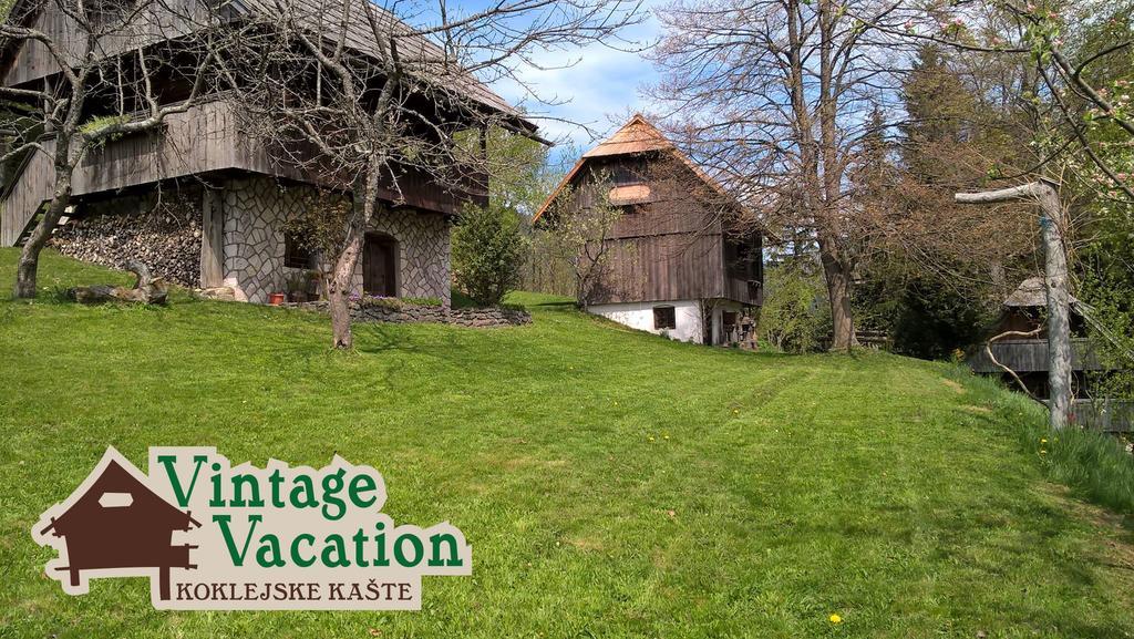 Domacija Koklej - Apartments Vintage Vacation Luče المظهر الخارجي الصورة