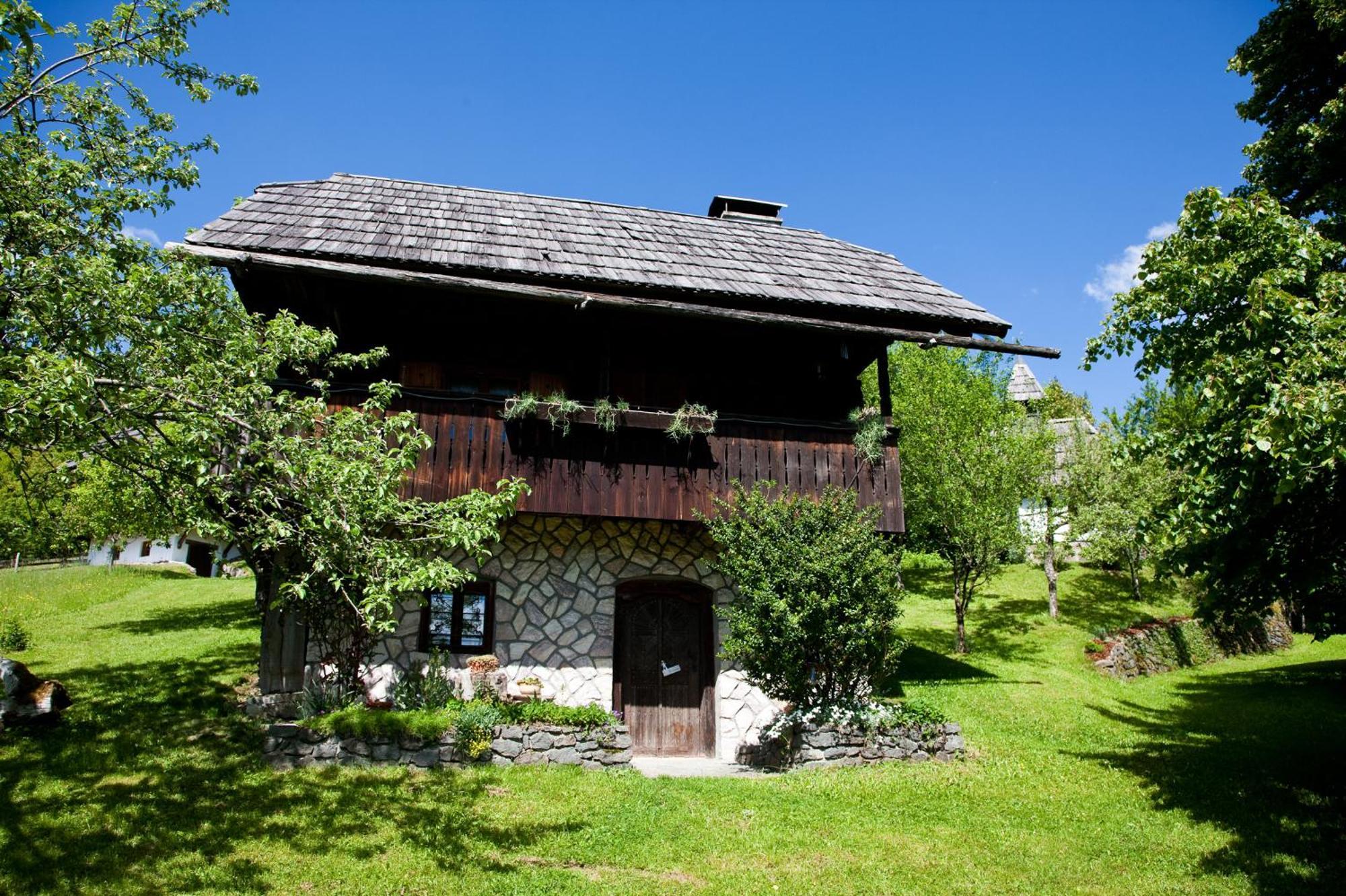 Domacija Koklej - Apartments Vintage Vacation Luče المظهر الخارجي الصورة