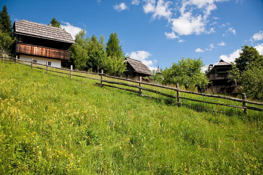 Domacija Koklej - Apartments Vintage Vacation Luče المظهر الخارجي الصورة