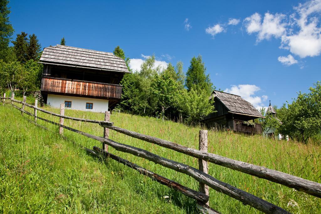 Domacija Koklej - Apartments Vintage Vacation Luče المظهر الخارجي الصورة