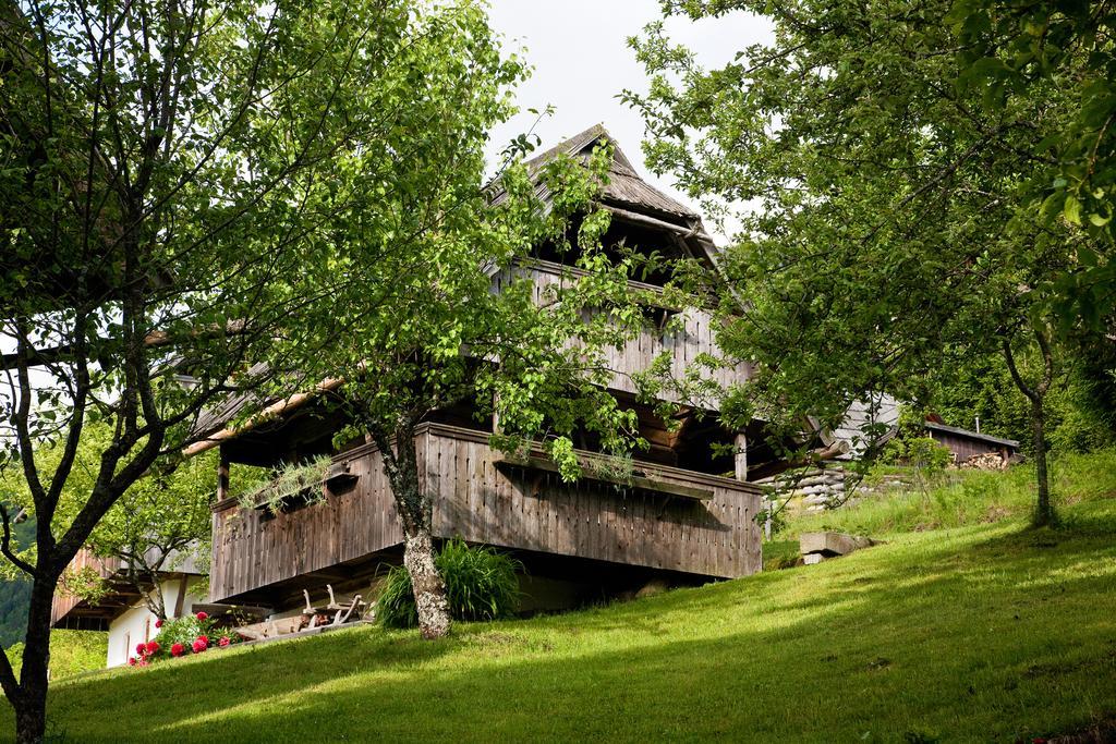 Domacija Koklej - Apartments Vintage Vacation Luče المظهر الخارجي الصورة