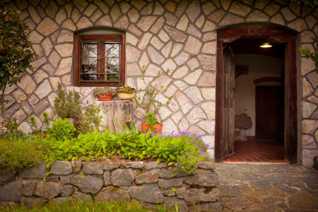 Domacija Koklej - Apartments Vintage Vacation Luče المظهر الخارجي الصورة